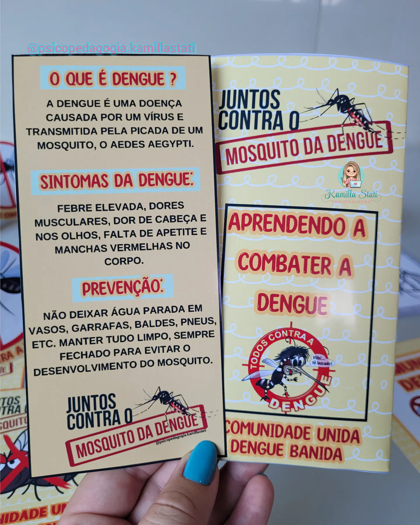 Arquivo Kit Sala Luta contra a Dengue 2