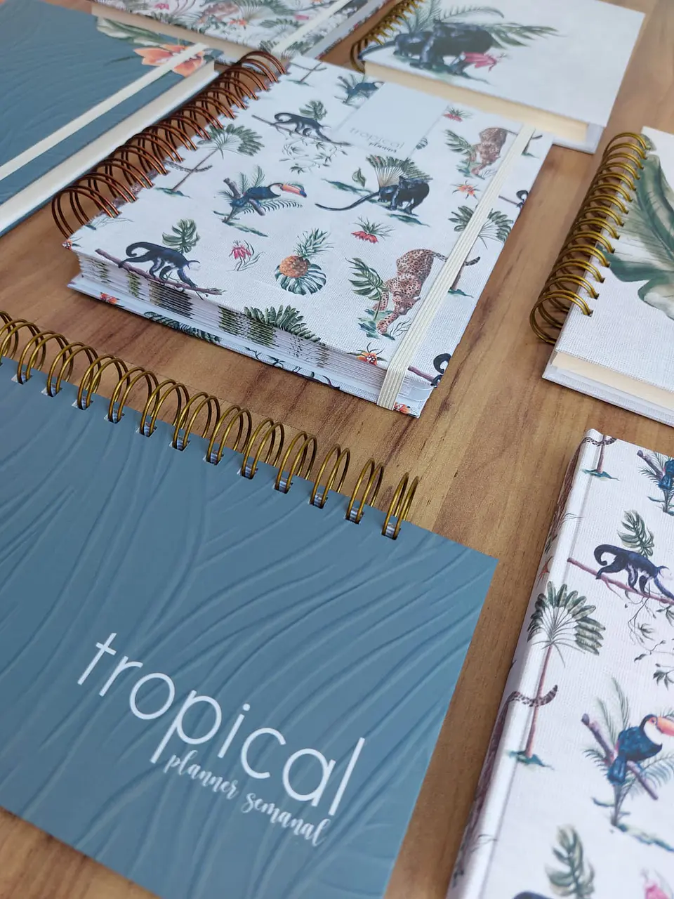 Arquivo encadernação Coleção Tropical Permanente -  Marta Iurkiu 1