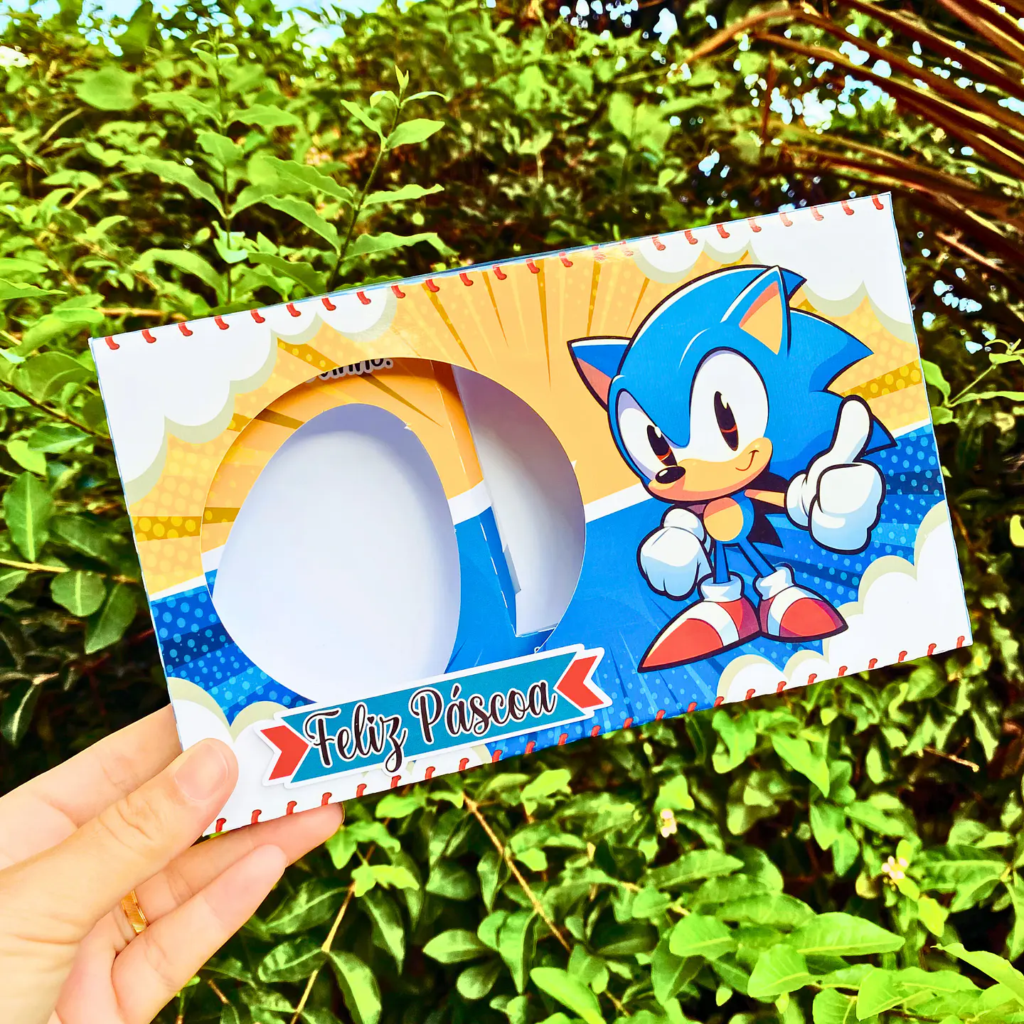 Arquivo Mini Confeiteiro Sonic 1