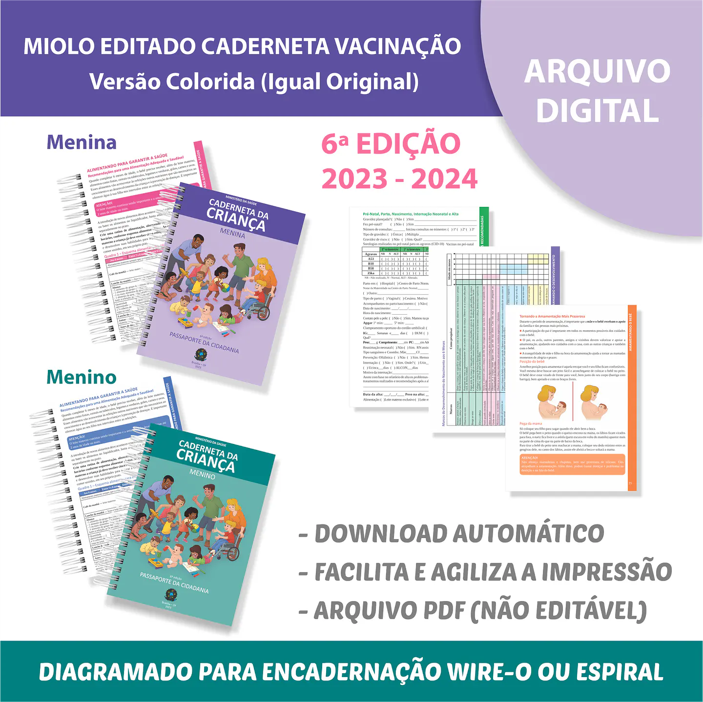 Arquivo Miolo Caderneta Vacinas 6° edição – Cor rosa e azul - afetivo papel 1