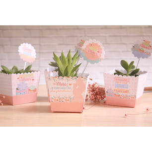 Arquivo dia das mães cachepo suculentas