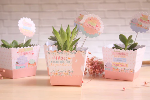 Arquivo dia das mães cachepo suculentas