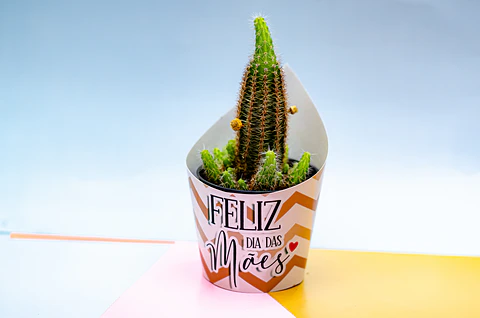 Arquivo Porta Suculenta Dia das Mães