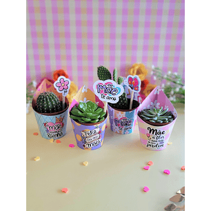 Arquivo de Corte Porta Suculentas Dia das Mães - Ana Flor