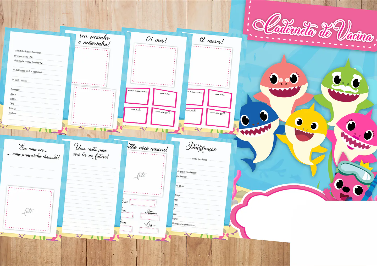 Arquivo Caderneta Baby Shark Menina 1