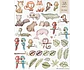Kit Fauna Brasileira Aquarela - Ni Estudio - Thumbnail 2
