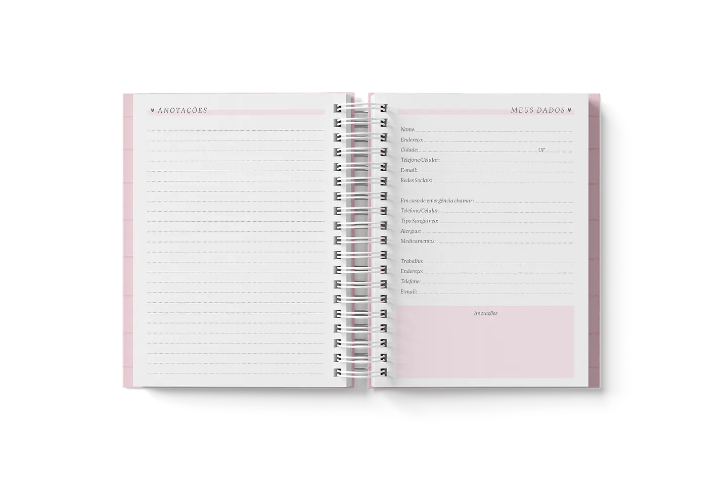 Arquivo Miolo Agendas A5 2025 - Branco Papel 9