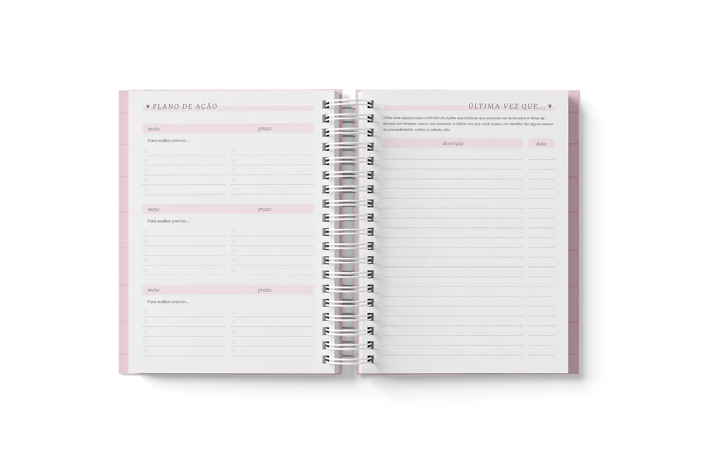 Arquivo Miolo Agendas A5 2025 - Branco Papel 13