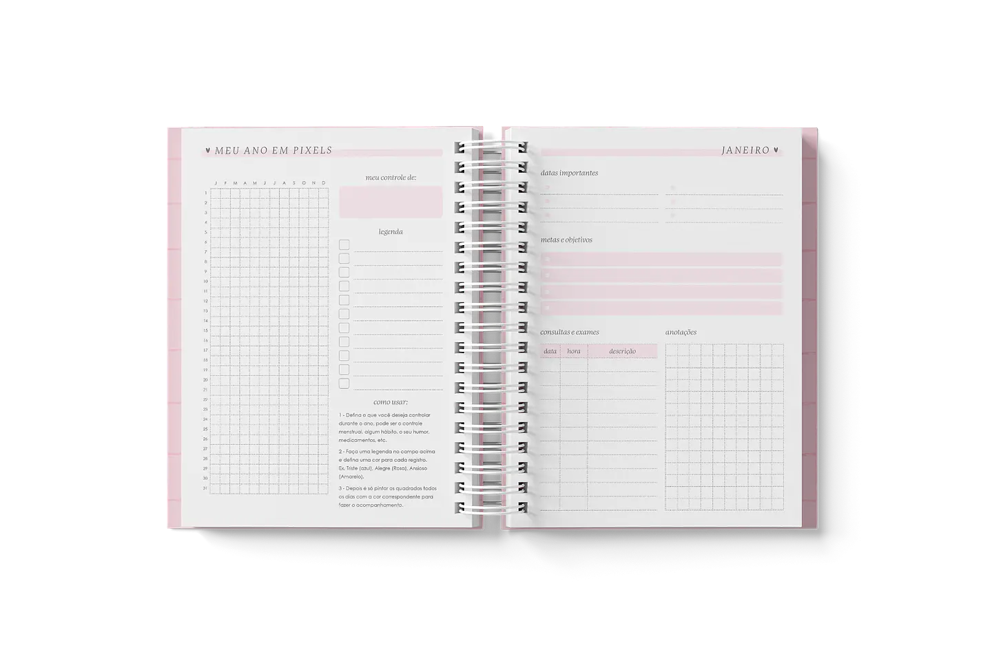 Arquivo Miolo Agendas A5 2025 - Branco Papel 14
