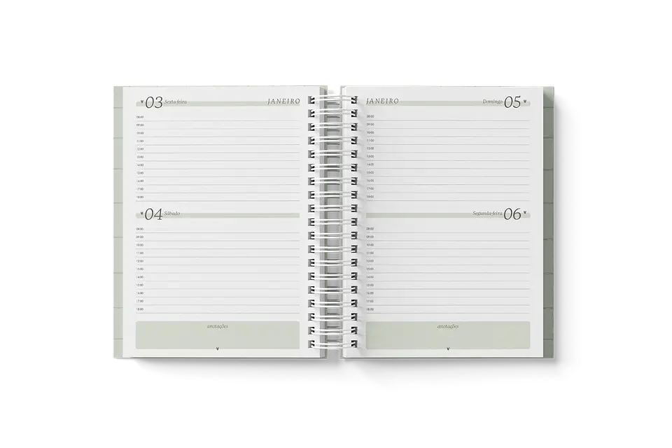 Arquivo Miolo Agendas A5 2025 - Branco Papel 19
