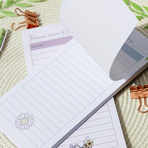 Arquivo Encadernação Coleção Florescer 