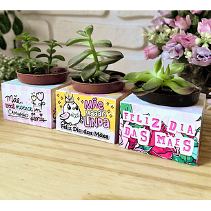 Arquivo caixa suculenta dia das mães - Pandoca