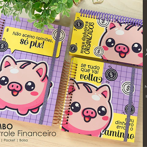 Arquivo Combo Controle Financeiro A5 e Pocket - MOLDES DA LÊ