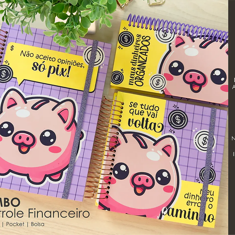Arquivo Combo Controle Financeiro A5 e Pocket - MOLDES DA LÊ 1