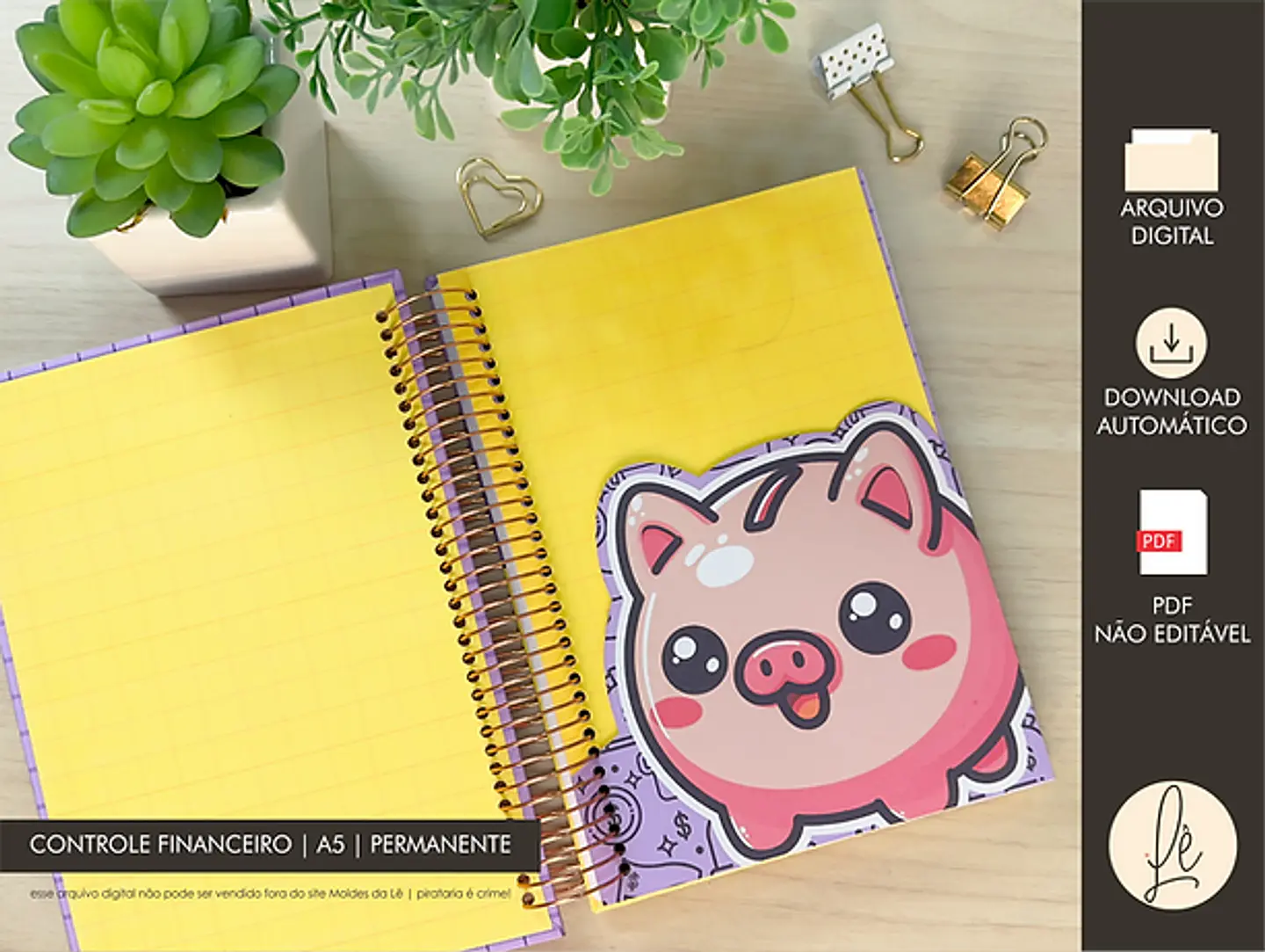 Arquivo Combo Controle Financeiro A5 e Pocket - MOLDES DA LÊ 5