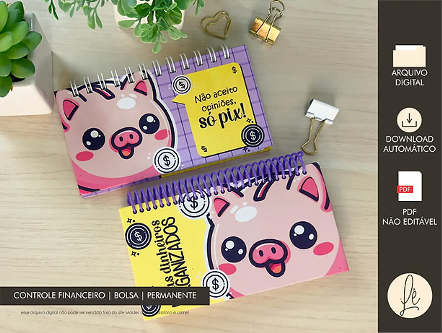 Arquivo Combo Controle Financeiro A5 e Pocket - MOLDES DA LÊ 8