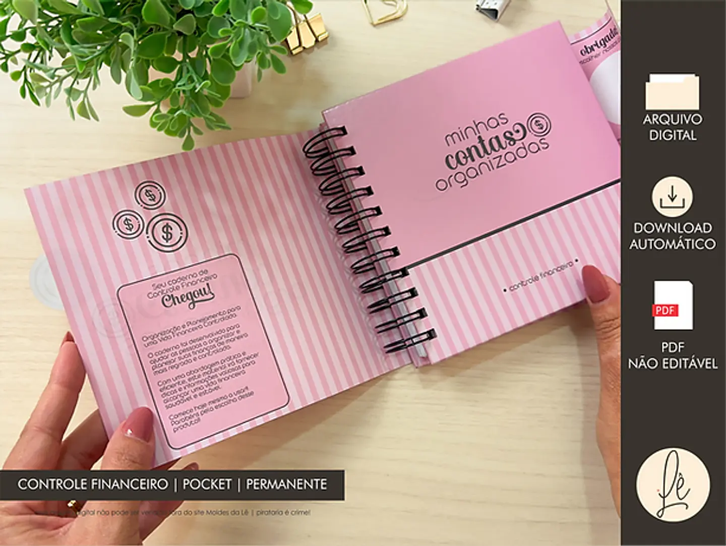 Arquivo Combo Controle Financeiro A5 e Pocket - MOLDES DA LÊ 10