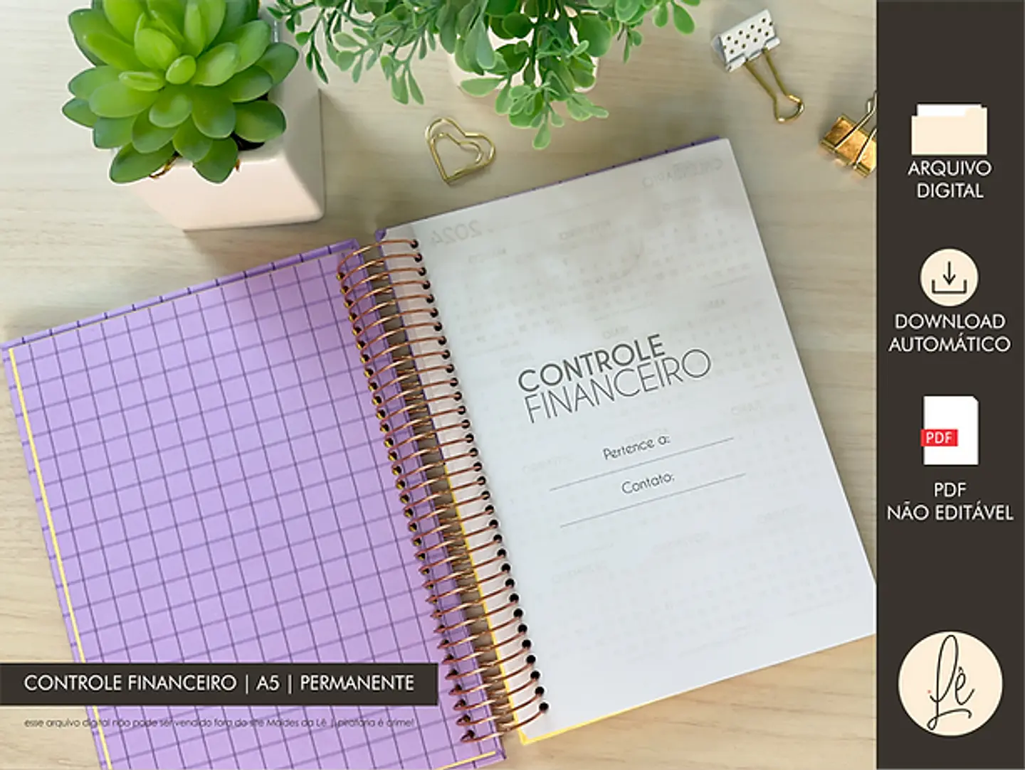 Arquivo Combo Controle Financeiro A5 e Pocket - MOLDES DA LÊ 12