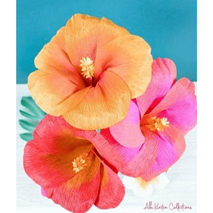 Arquivo Flor Hibisco