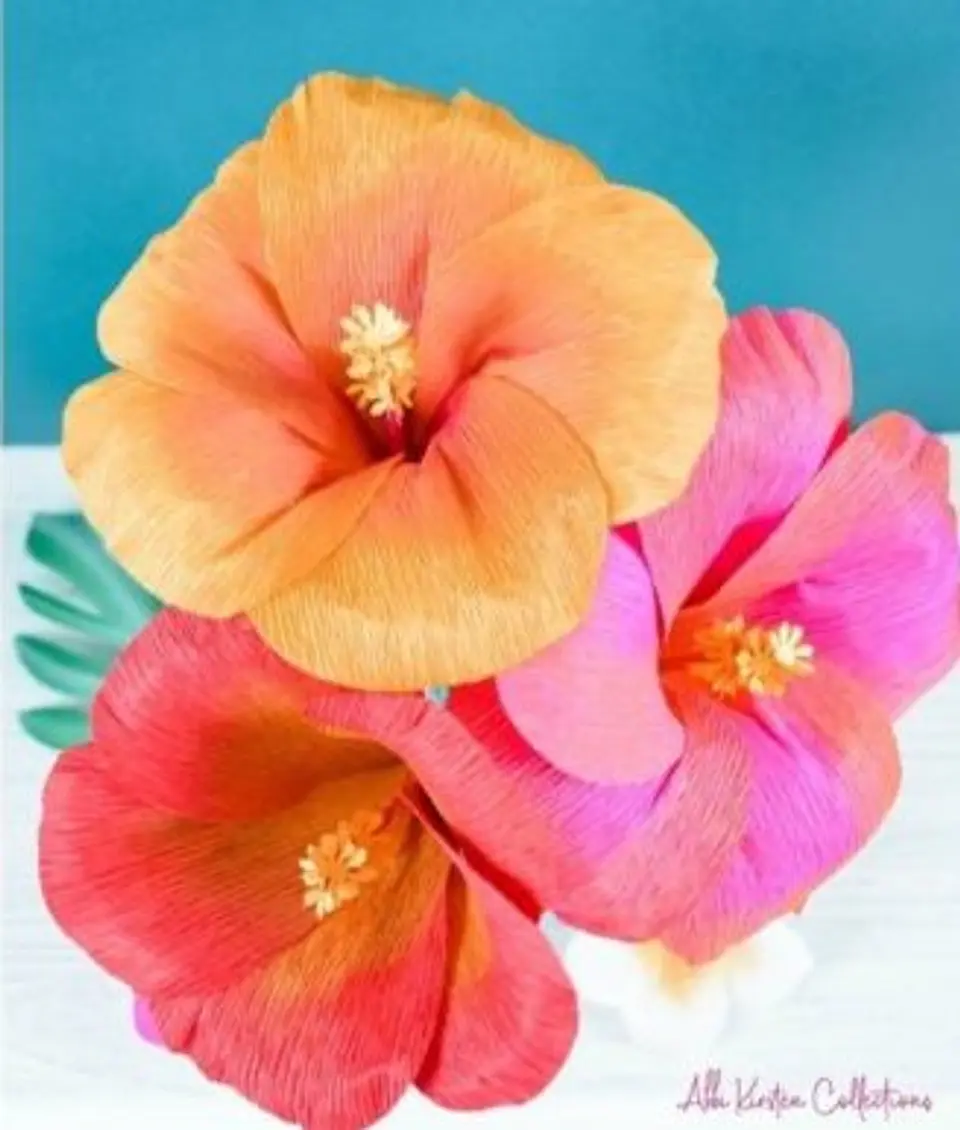 Arquivo Flor Hibisco 1