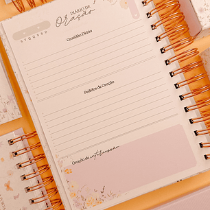 Arquivo Encadernação Coleção Diário de Oração - PAPEL AMADO