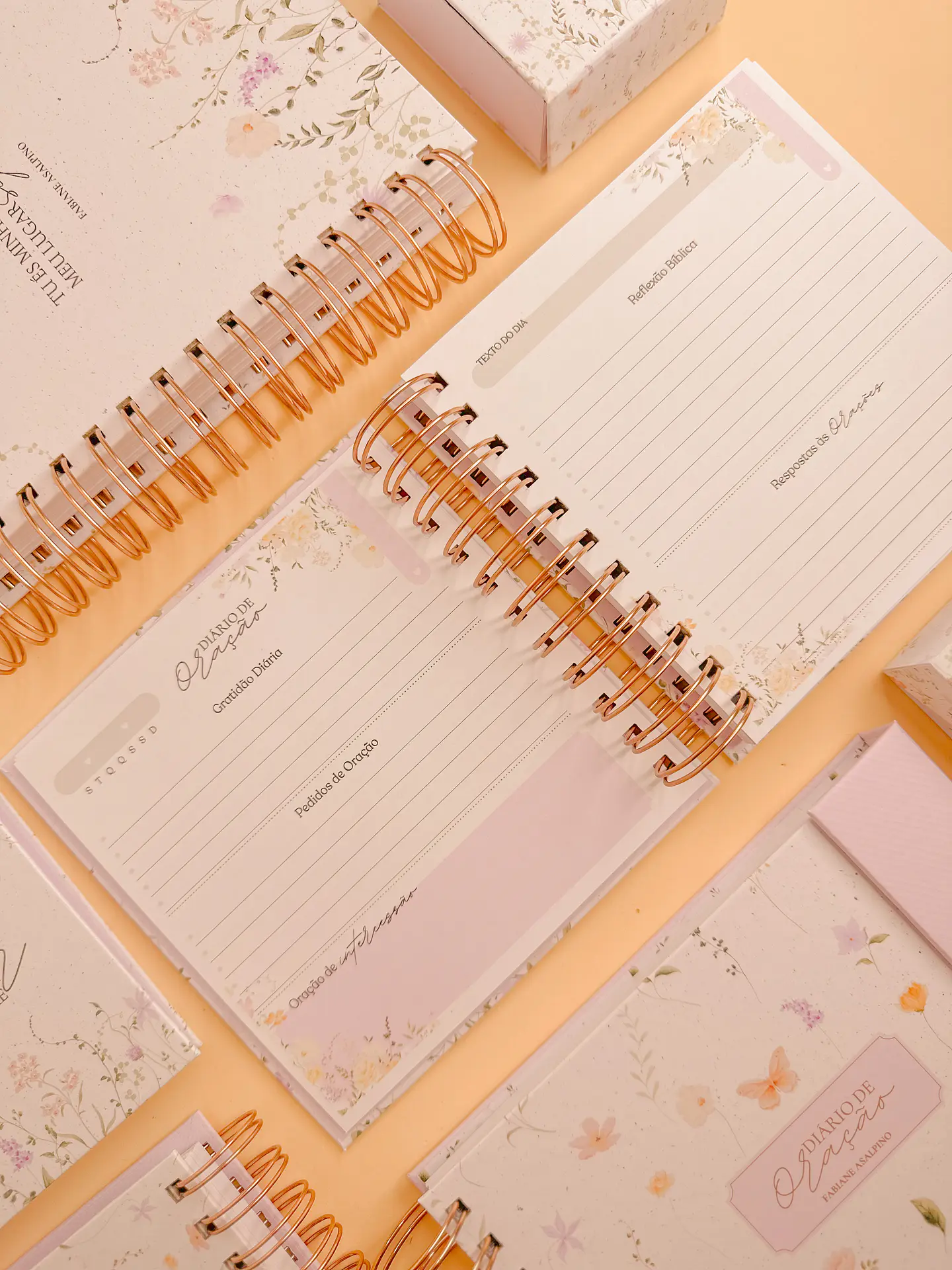 Arquivo Encadernação Coleção Diário de Oração - PAPEL AMADO 8