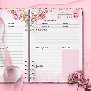 Arquivo Combo Devocional Leitura da Bíblia 365 dias Católica Evangélica Leitura Livre Mulher Virtuosa - BICHO PAPEL