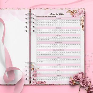 Kit Arquivos Leitura Guiada da Bíblia 365 dias + Leitura Livre Testemunhas Jeová Mulher Virtuosa - BICHO PAPEL