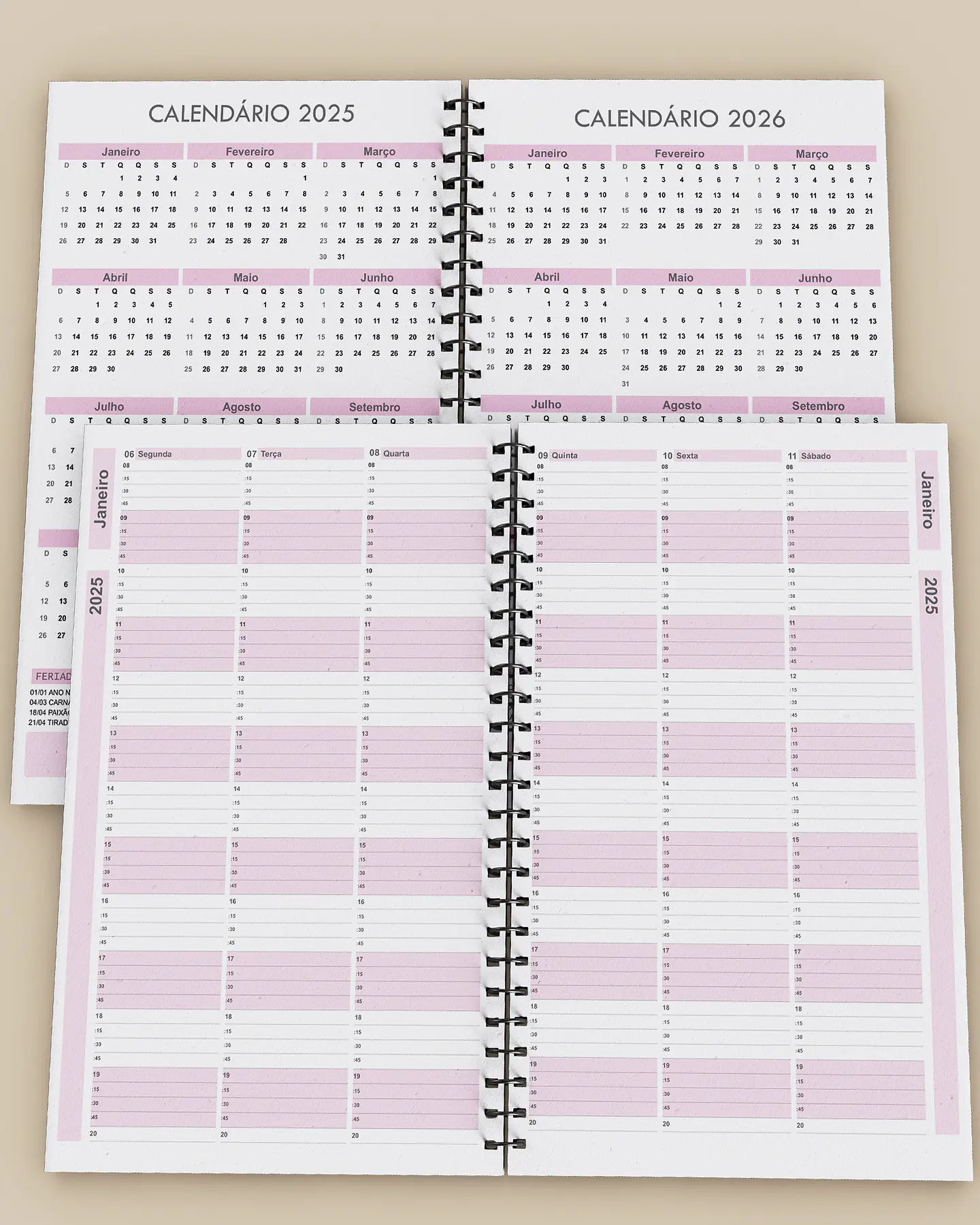 Arquivo Kit Agendamento Semanal 2025 de 15 em 15 minutos em 3 Cores - BICHO PAPEL 3