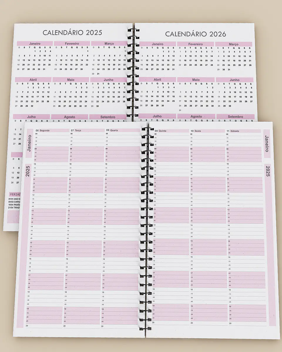 Arquivo Kit Agendamento Semanal 2025 de 15 em 15 minutos em 3 Cores - BICHO PAPEL 3