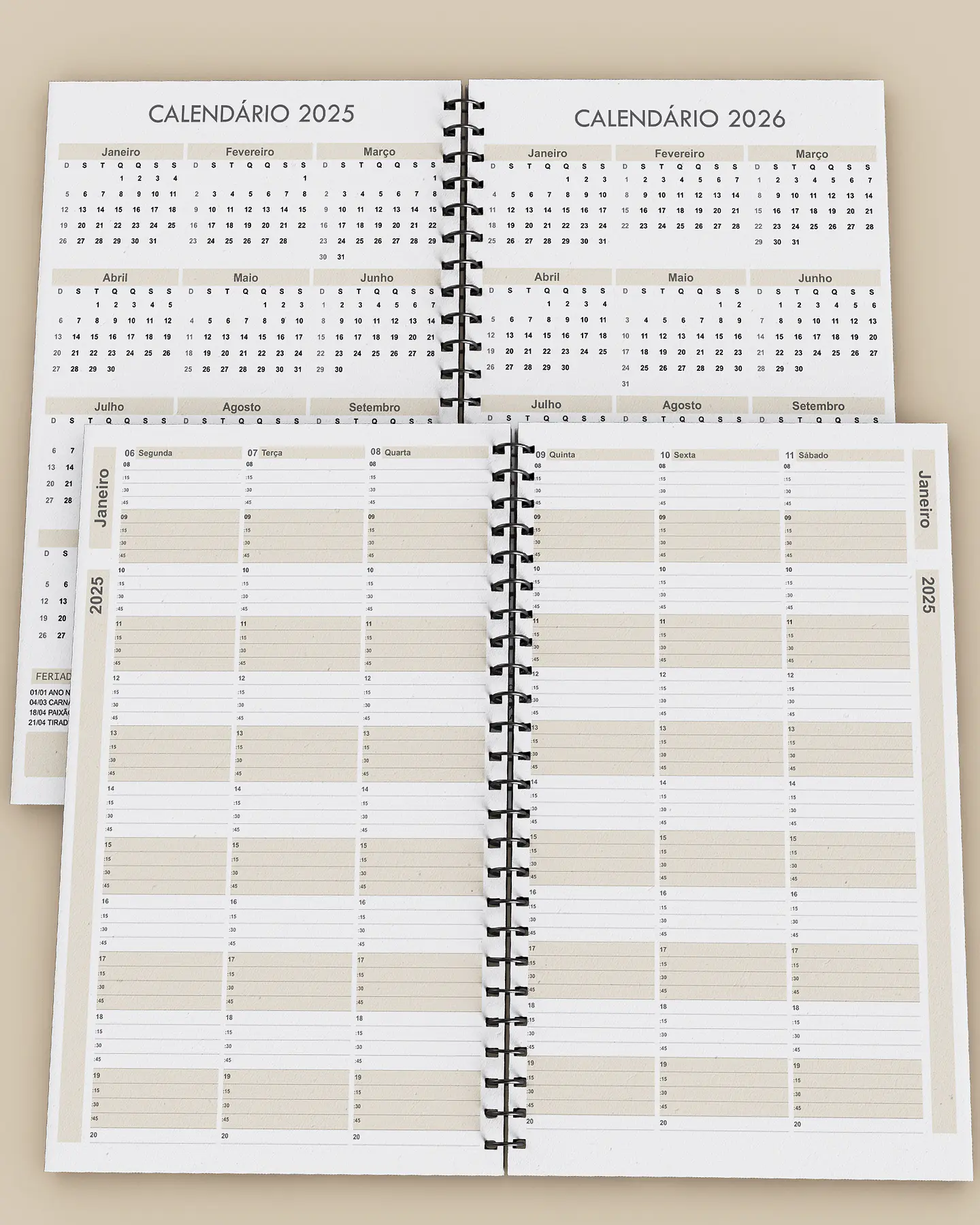 Arquivo Kit Agendamento Semanal 2025 de 15 em 15 minutos em 3 Cores - BICHO PAPEL 4