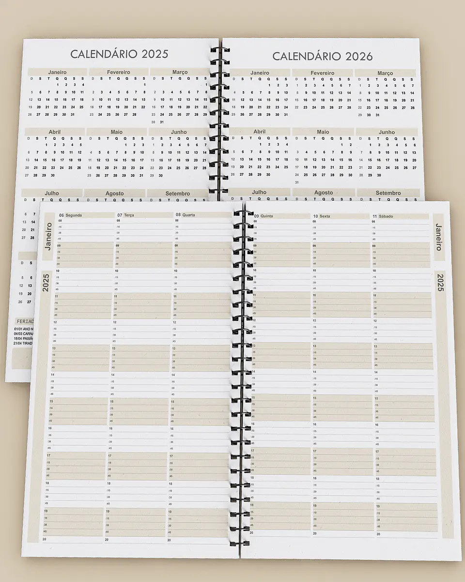 Arquivo Kit Agendamento Semanal 2025 de 15 em 15 minutos em 3 Cores - BICHO PAPEL 4