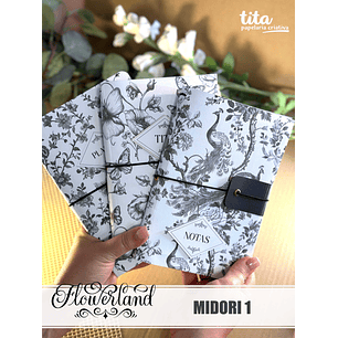 Arquivo Coleção FlowerLand - Midori 01 - TITA