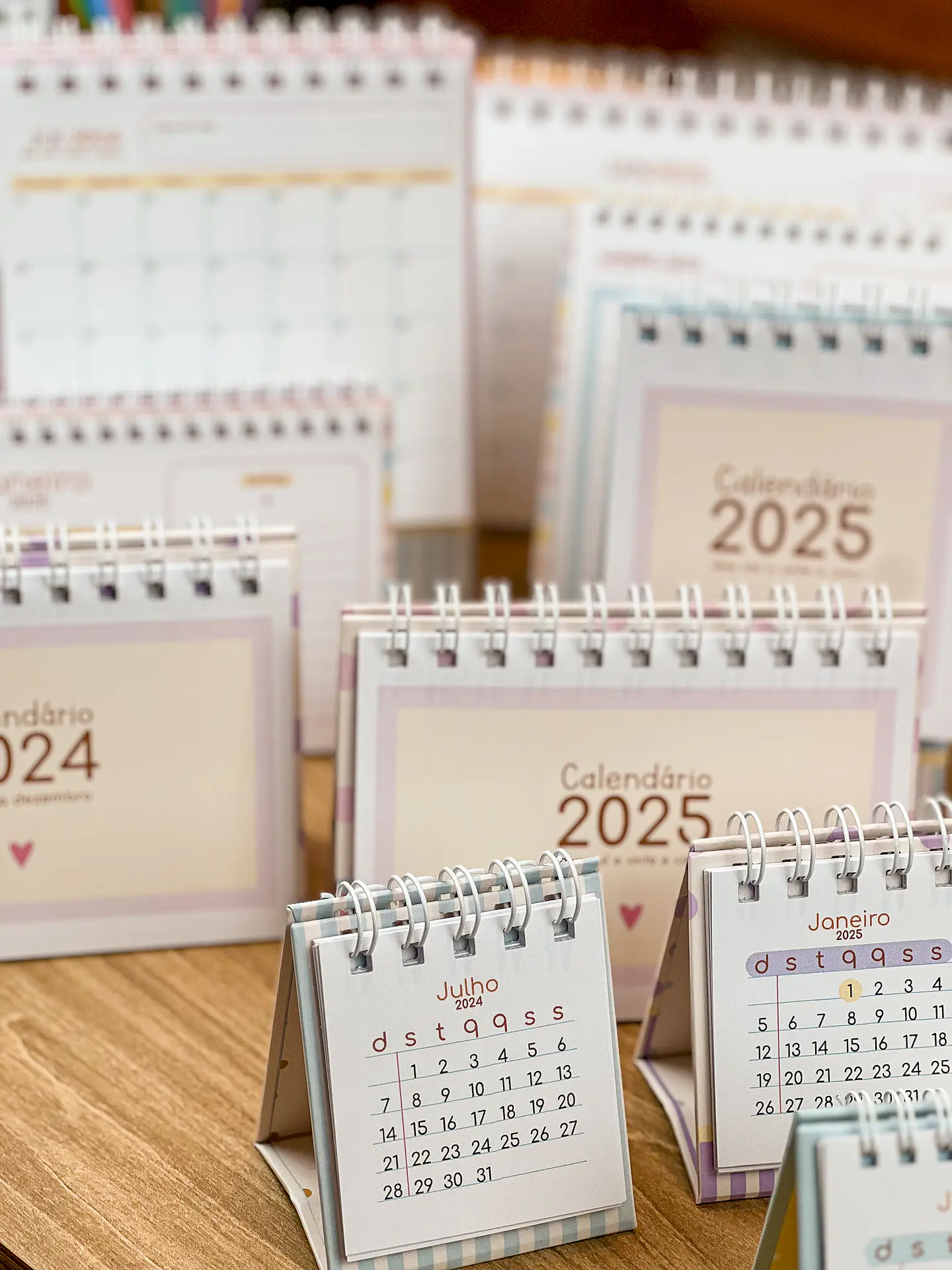Arquivo Combo Planejadores e Calendários 2025 - ESTUDIO G19 5
