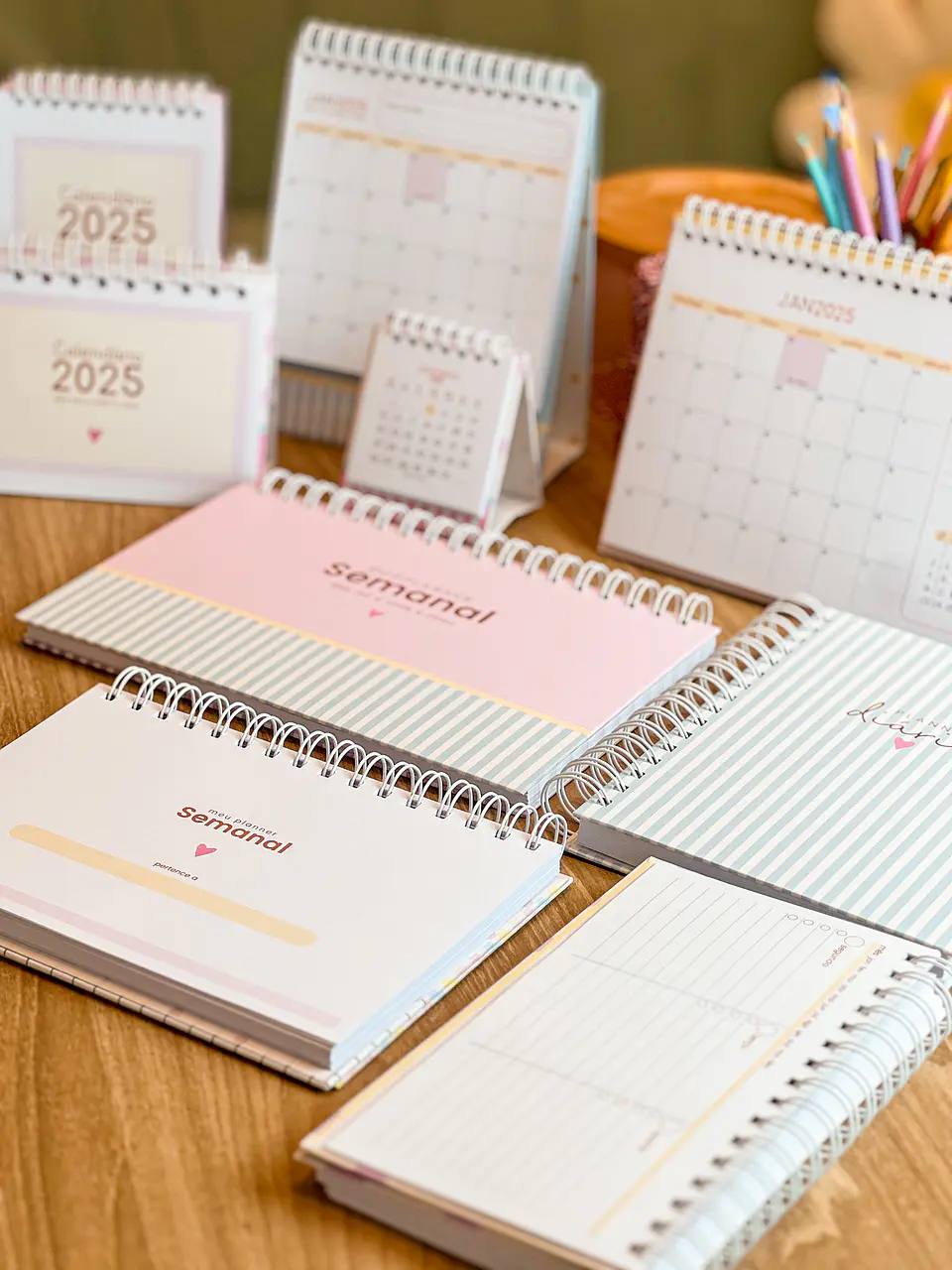 Arquivo Combo Planejadores e Calendários 2025 - ESTUDIO G19 12