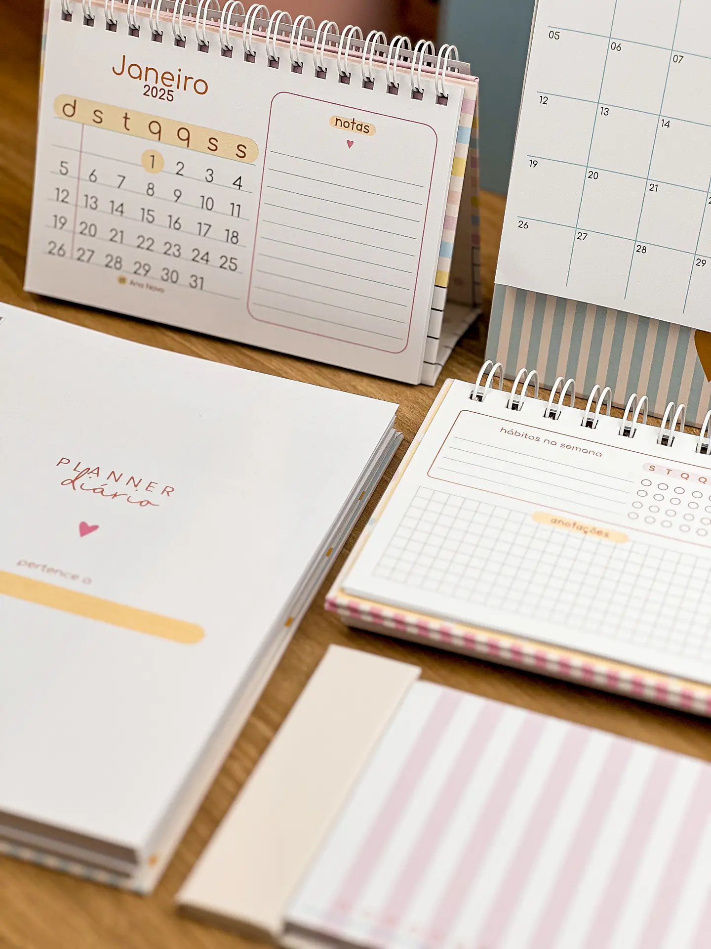 Arquivo Combo Planejadores e Calendários 2025 - ESTUDIO G19 16