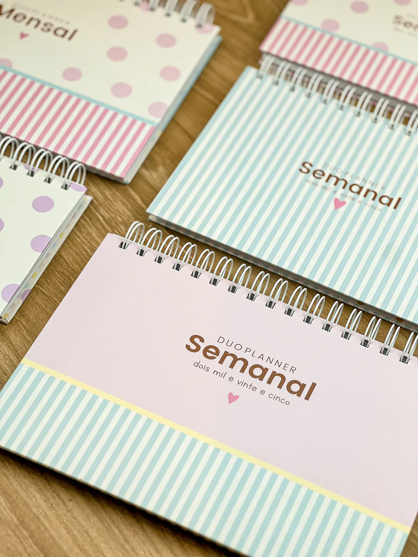 Arquivo Combo Planejadores e Calendários 2025 - ESTUDIO G19 19