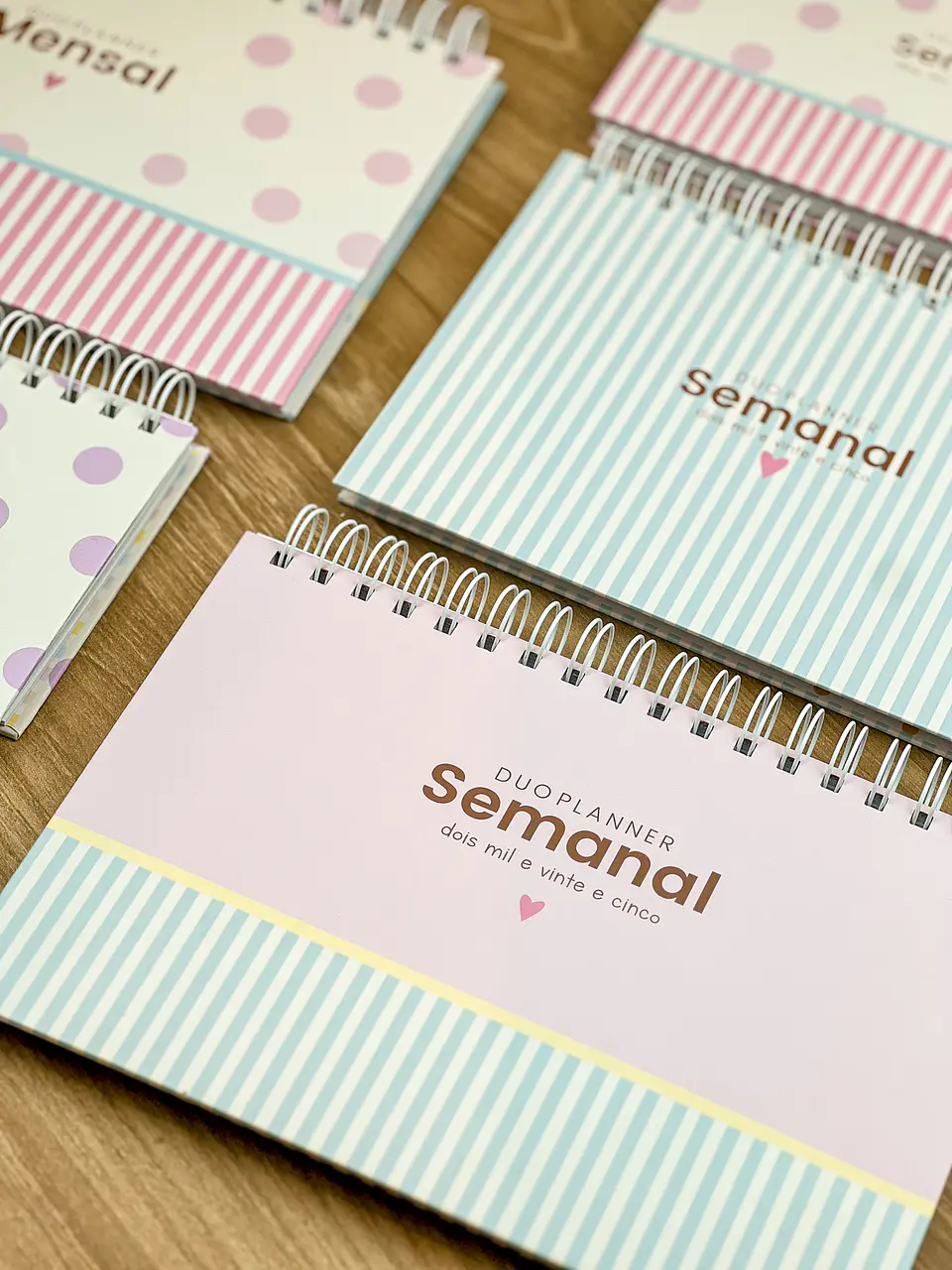 Arquivo Combo Planejadores e Calendários 2025 - ESTUDIO G19 19