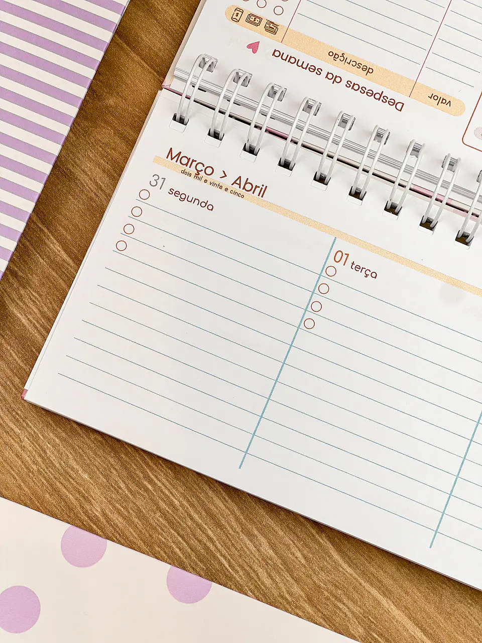 Arquivo Combo Planejadores e Calendários 2025 - ESTUDIO G19 24