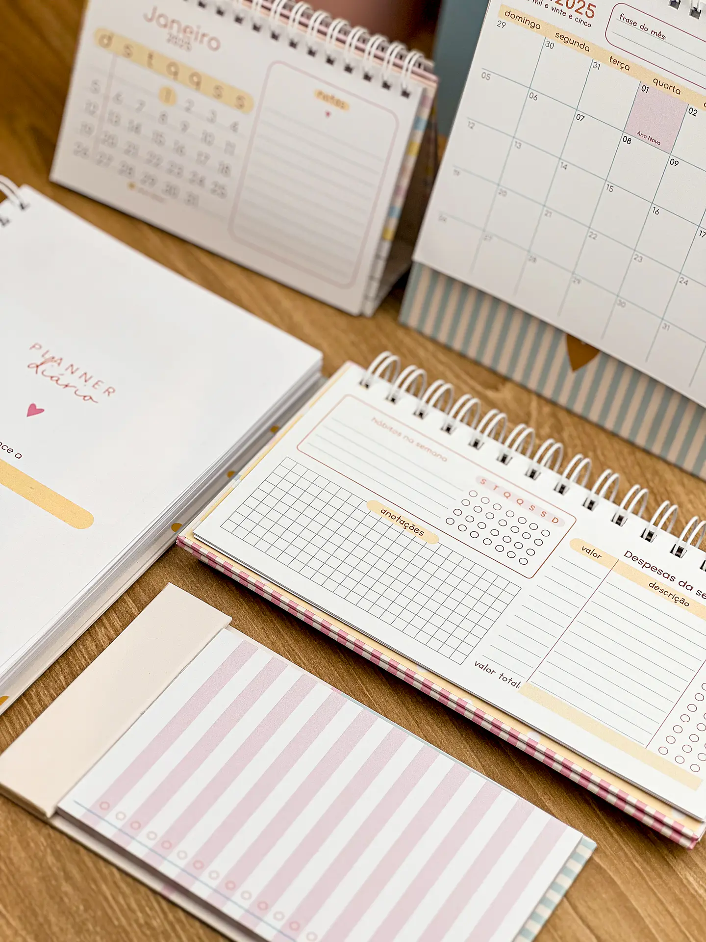 Arquivo Combo Planejadores e Calendários 2025 - ESTUDIO G19 28