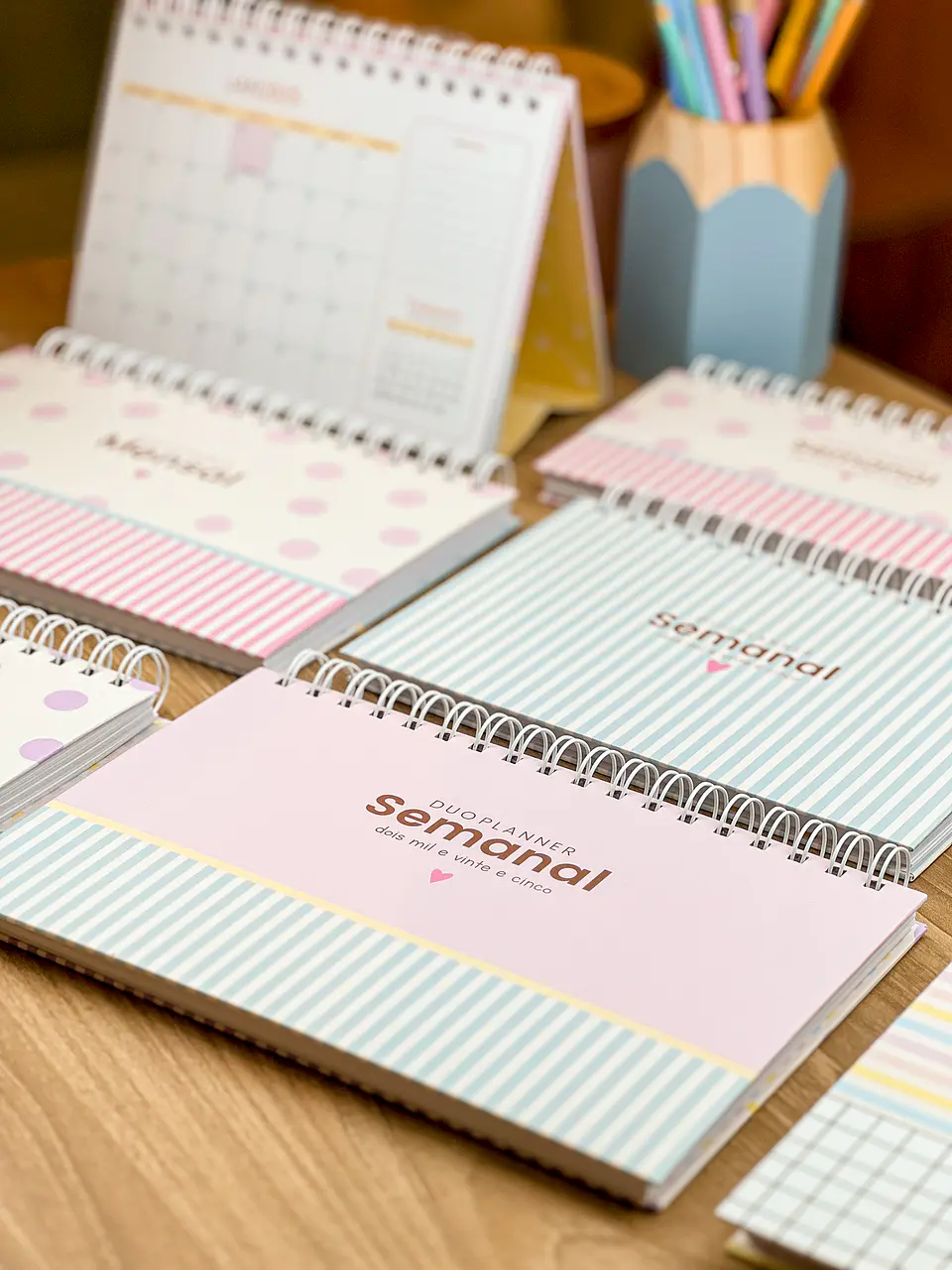 Arquivo Combo Planejadores e Calendários 2025 - ESTUDIO G19 31