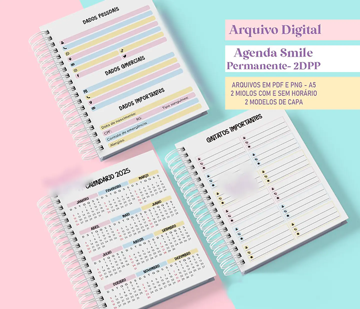 Arquivo Combo Agendas 2025 e Permanentes Coleção Smiles 4