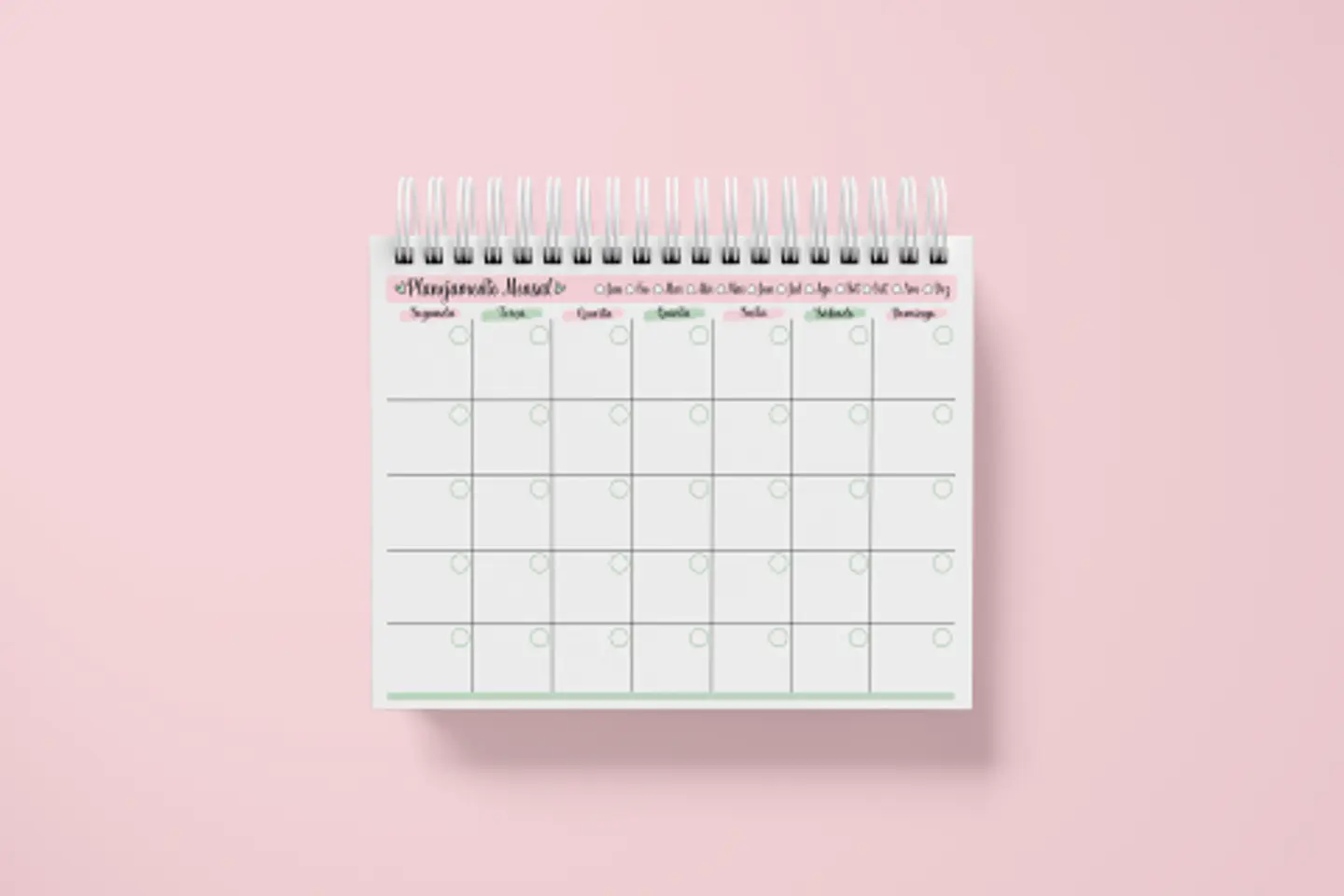 Arquivo Planner Duo Cactos Mensal e Semanal Permanente A5 4