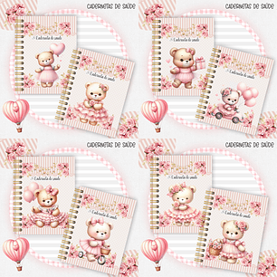 Arquivo Caderneta de Saúde Ursinha Rosa