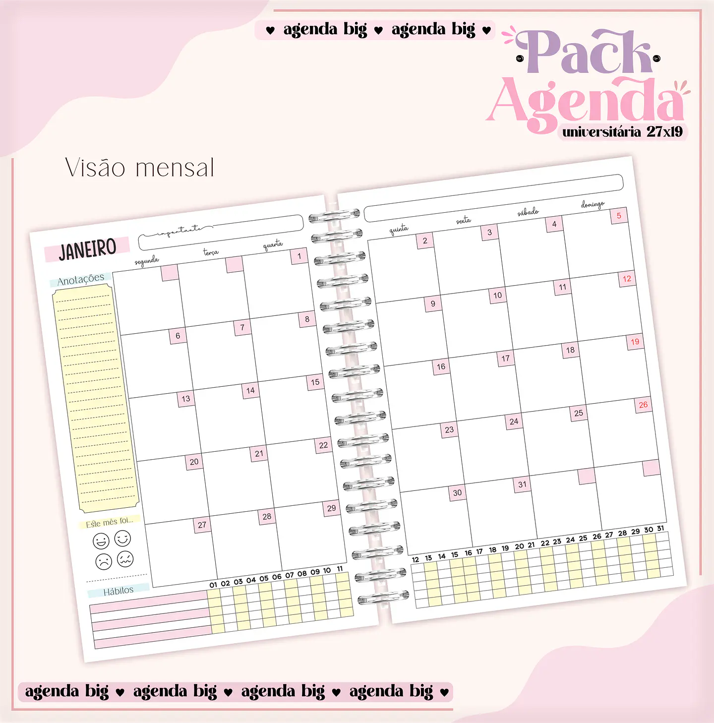 Arquivo Pack Agendas Universitárias  6