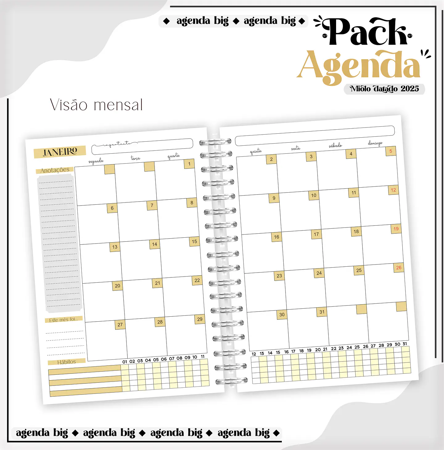 Arquico Pack de Agendas Universitários Masculino 7