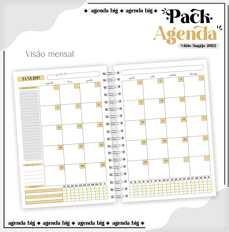 Arquico Pack de Agendas Universitários Masculino 7