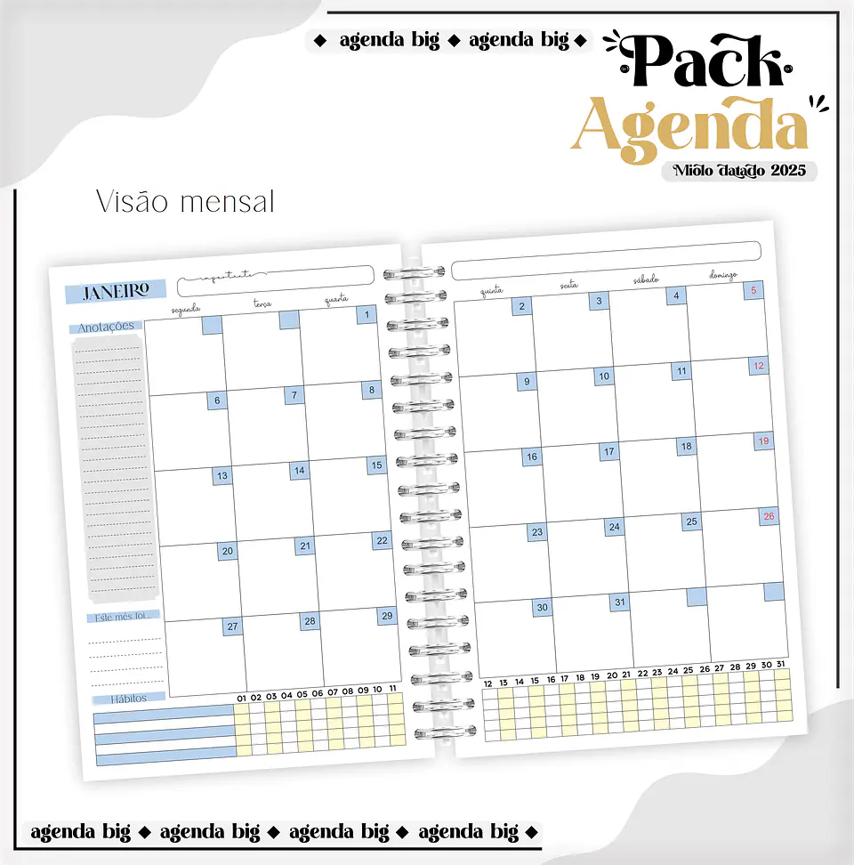 Arquico Pack de Agendas Universitários Masculino 8