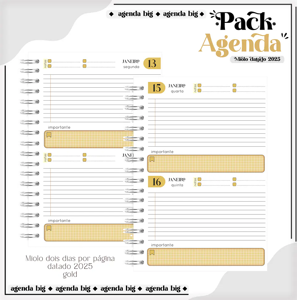 Arquico Pack de Agendas Universitários Masculino 9