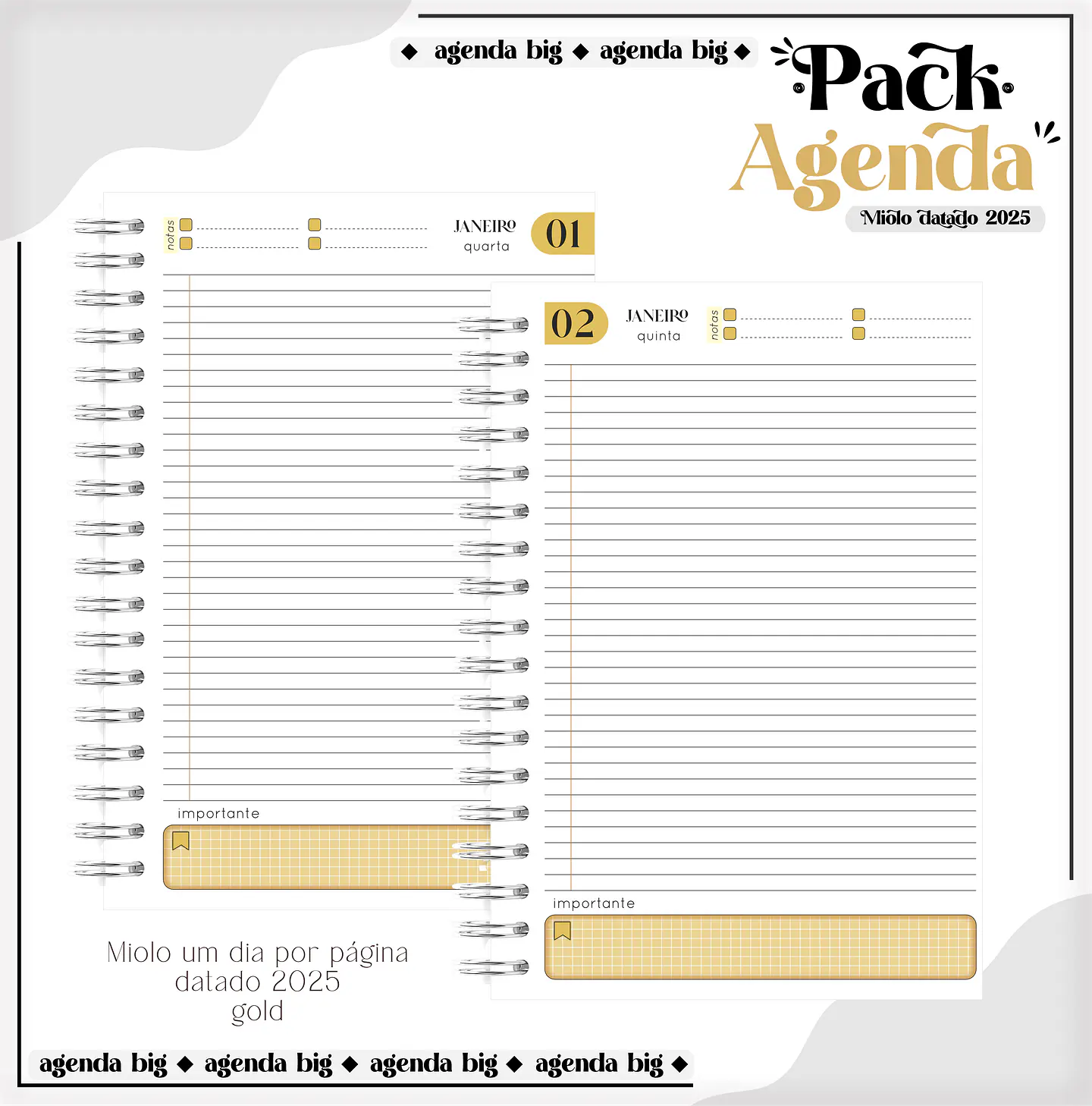 Arquico Pack de Agendas Universitários Masculino 10